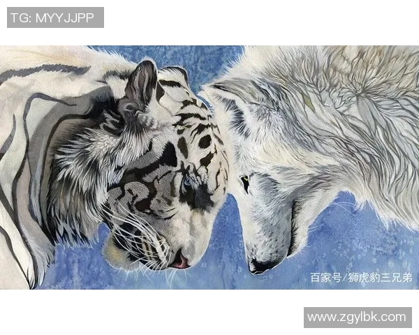 在狼群中崛起的足球明星与勇气与荣耀的传奇之路